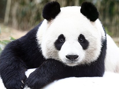 Palmyre Zoo - one of the largest in Europe